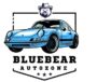 Blue Bear Auto zone